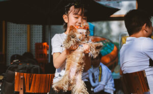 pet economy in China